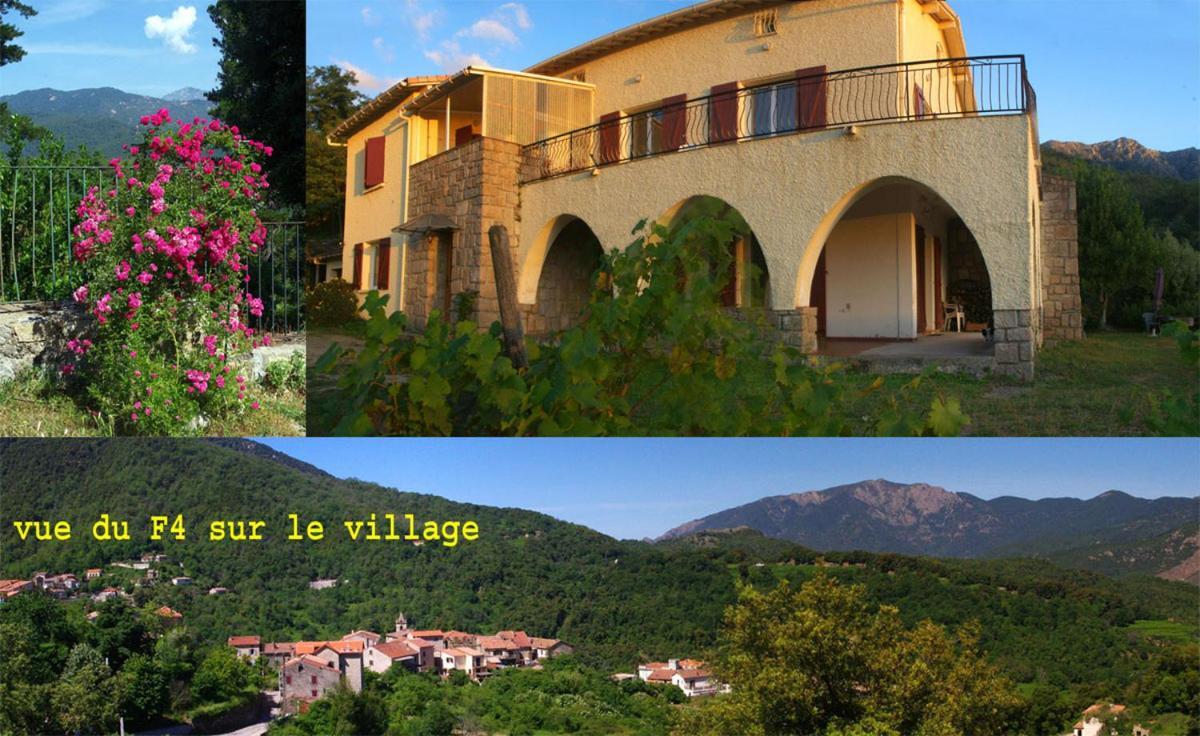 95M2 Au Calme A 25Mn Ajaccio, Plages, Linge Inclus Parking Ok Ucciani Экстерьер фото