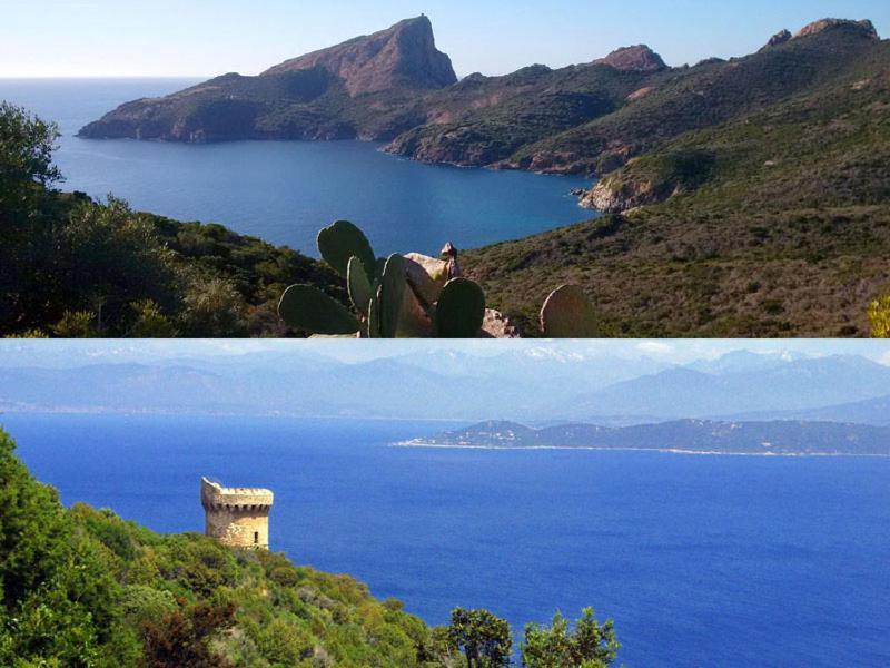 95M2 Au Calme A 25Mn Ajaccio, Plages, Linge Inclus Parking Ok Ucciani Экстерьер фото